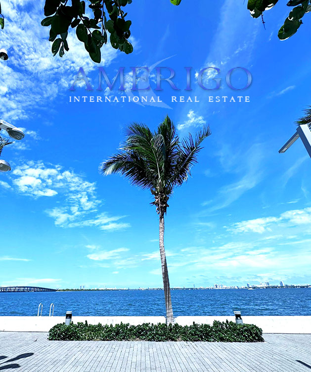 Amerigo International Real Estate
