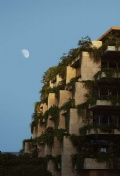 Ziggurat - Photo Thumbnail